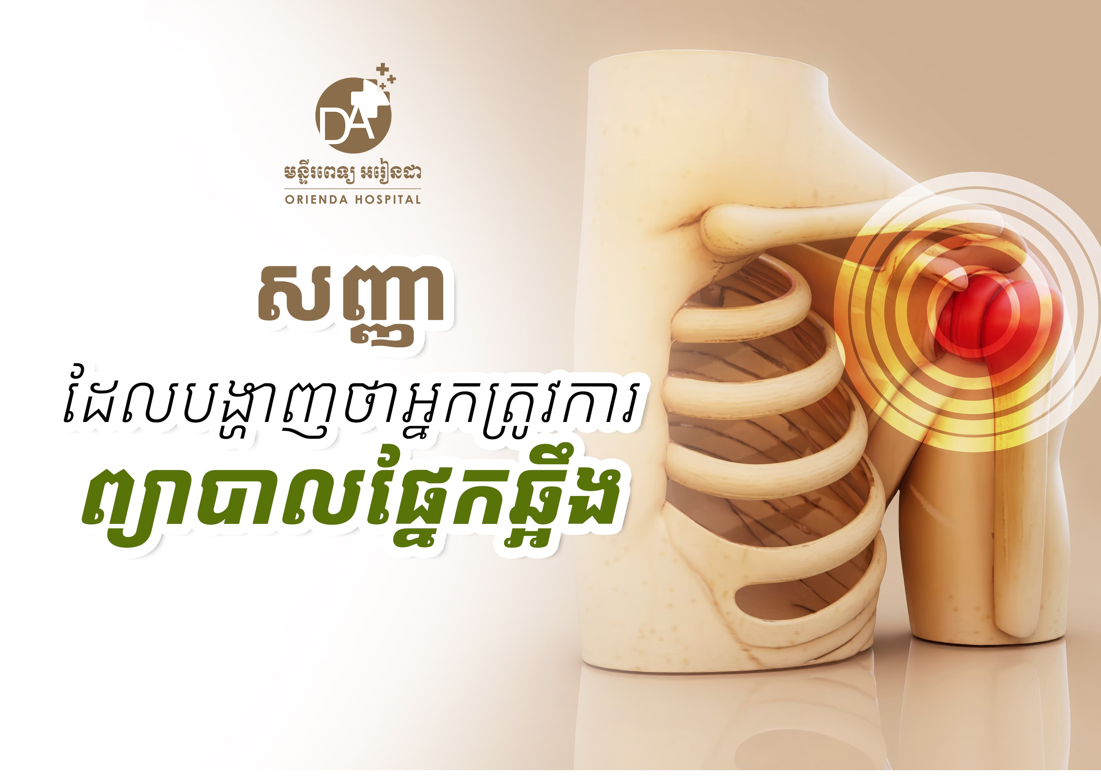សញ្ញាថាអ្នកត្រូវការការព្យាបាលឆ្អឹង និងពេលណាត្រូវស្វែងរកការថែទាំ